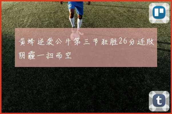 黄蜂逆袭公牛第三节狂胜26分连败阴霾一扫而空