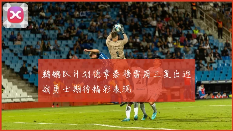 鹈鹕队计划德章泰穆雷周三复出迎战勇士期待精彩表现